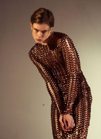 Copper Cyber-Shell Entity Copper Cyber-Shell Entity - фото 1