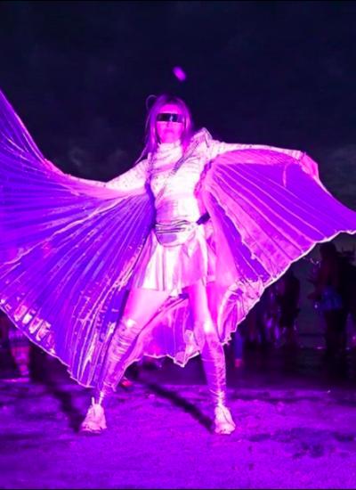 Cyber-Gothic Silver Raiders Cyber-Gothic Silver Raiders - фото 1